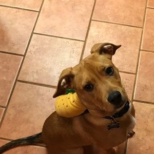 Meet your Posher, Diane