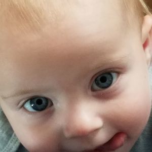 Meet your Posher, Bobbie