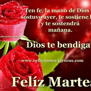 Meet your Posher, Nilda