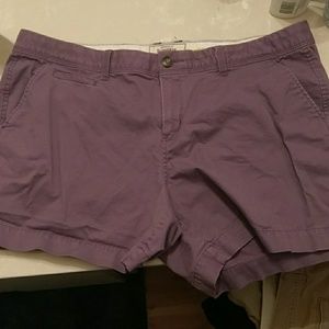 Plus Size Purple Shorts