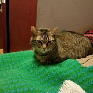 Meet your Posher, Ann