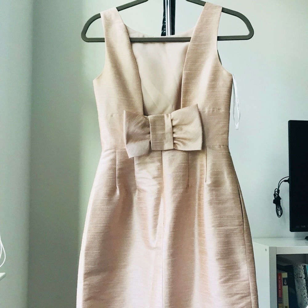 Alfred Sung Bridesmaid/prom dress