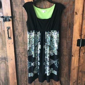 Dress Barn Woman’s Dress