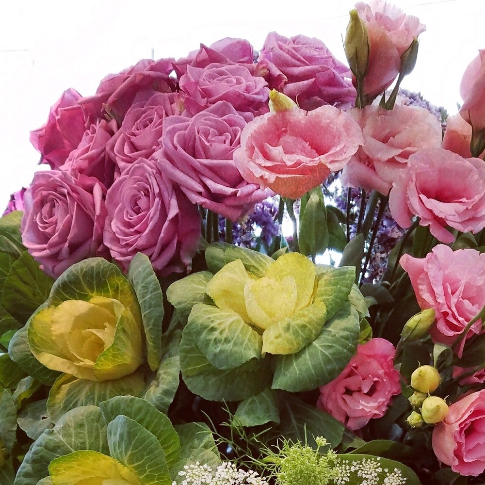 Meet your Posher, Ari