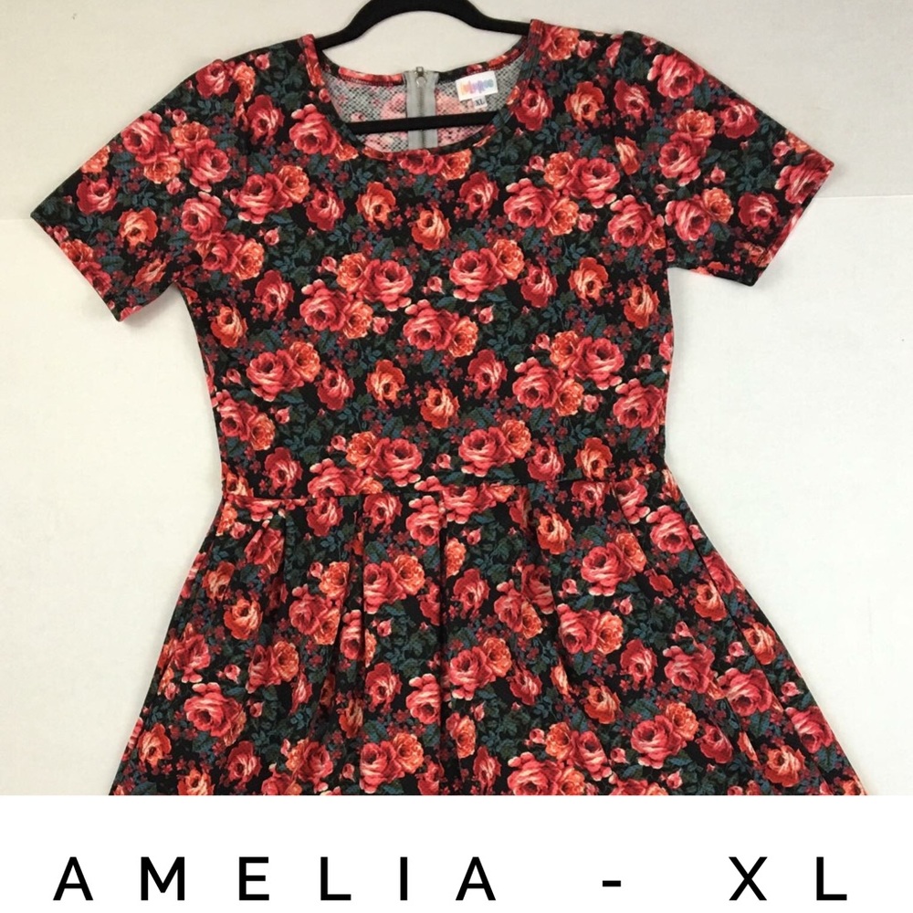 LuLaRoe Floral Amelia dress