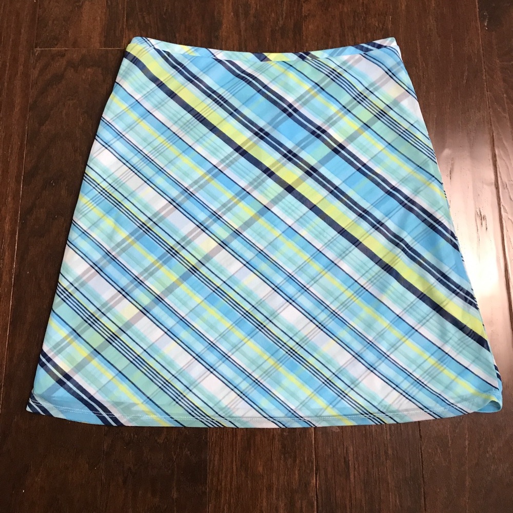 Express Skirt with Blue Stripe Pattern