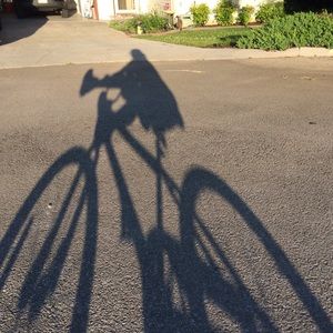 Meet your Posher, Eli