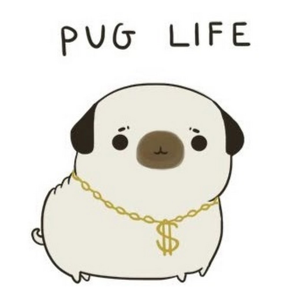 Meet your Posher, Gianna