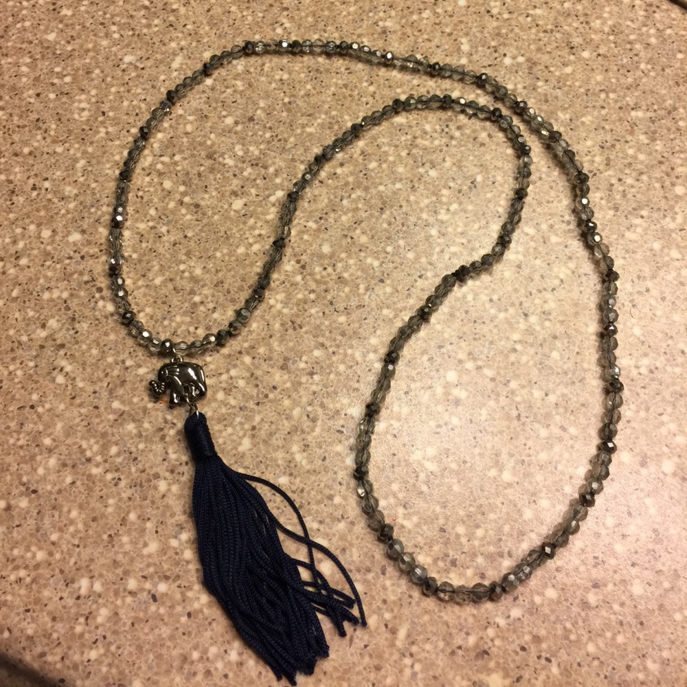 Long Silver Necklace with Navy Tassel