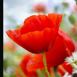 Meet your Posher, Sylwia