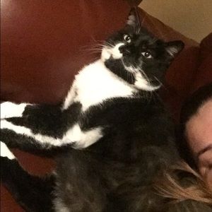 Meet your Posher, Daniella