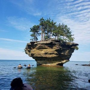 Meet your Posher, Lynn