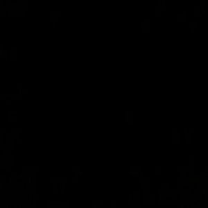 Meet your Posher, Jaz