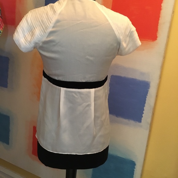 Silk Ruffles Top - Picture 4 of 8