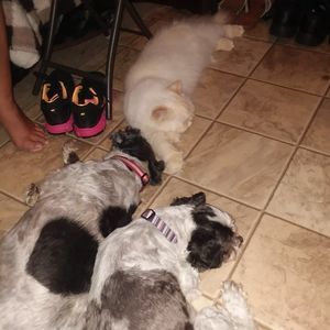 Meet your Posher, Roger