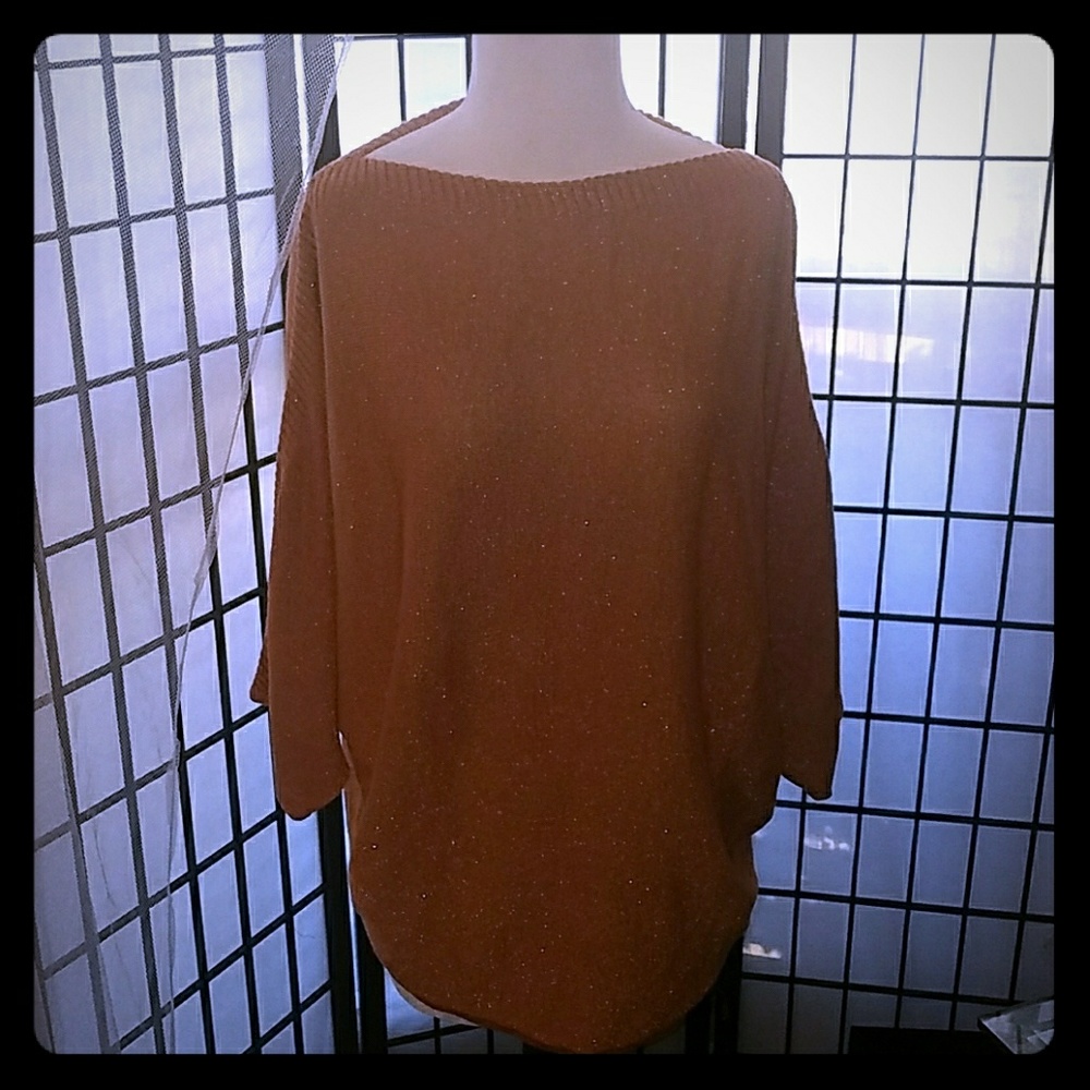 The Limited metallic dolman sleeve sweater