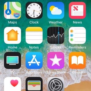 Meet your Posher, Willie