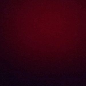 Meet your Posher, Violeta