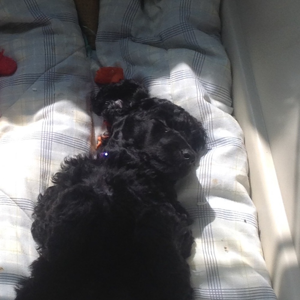 Meet your Posher, Jennifer