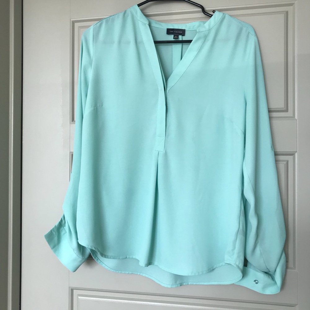 The Limited Flowy Blouse