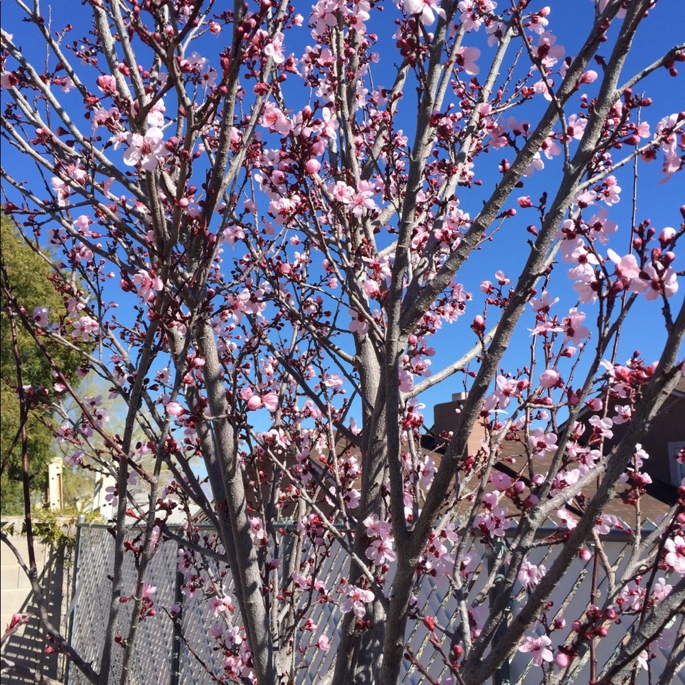 Meet your Posher, Sama