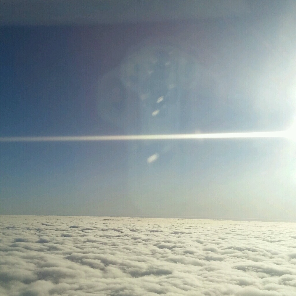 Meet your Posher, Taneeka