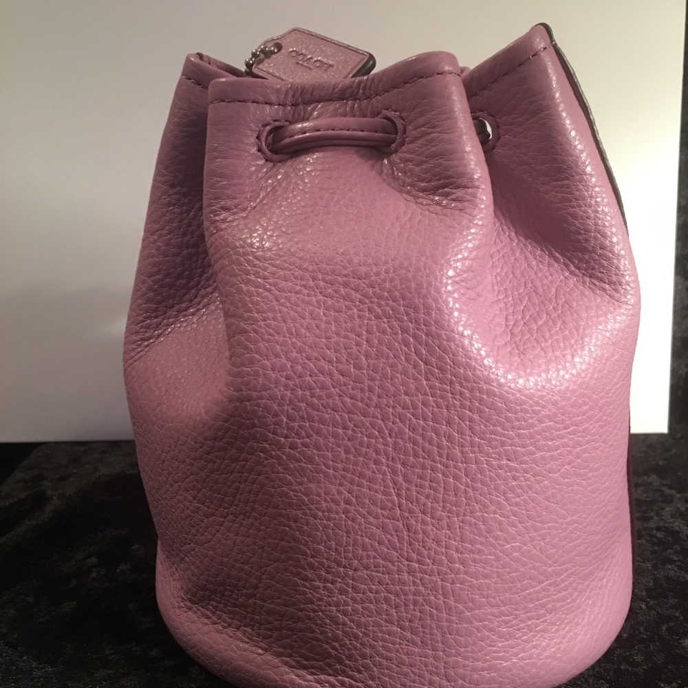 NWT - COACH PEBBLED LEATHER PETAL WRISTLET BAG - Picture 2 of 7