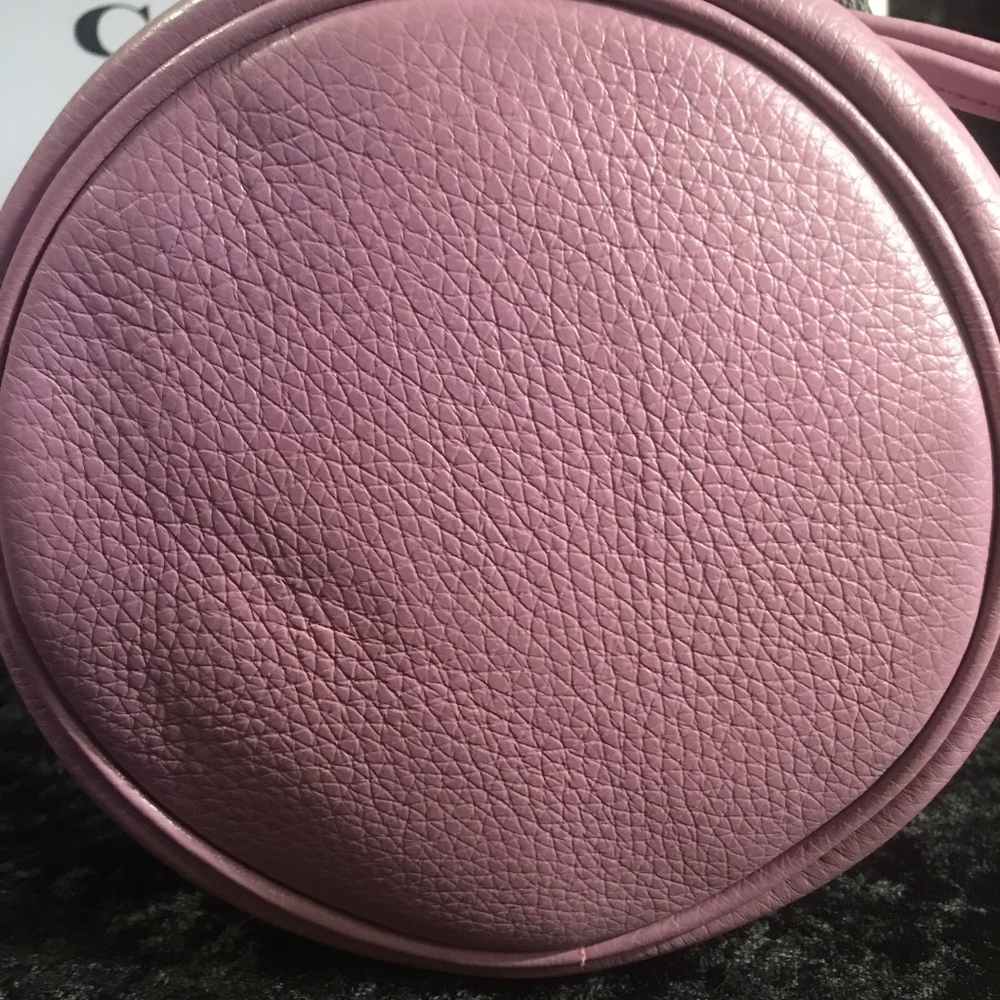 NWT - COACH PEBBLED LEATHER PETAL WRISTLET BAG - Picture 4 of 7