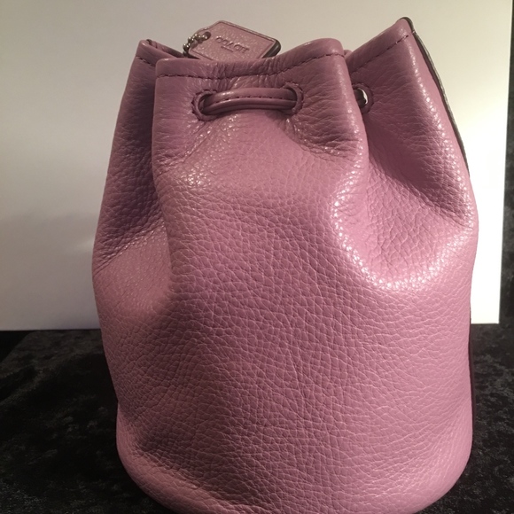 NWT - COACH PEBBLED LEATHER PETAL WRISTLET BAG - Picture 2 of 7