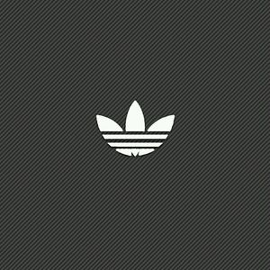 Meet your Posher, Lynn