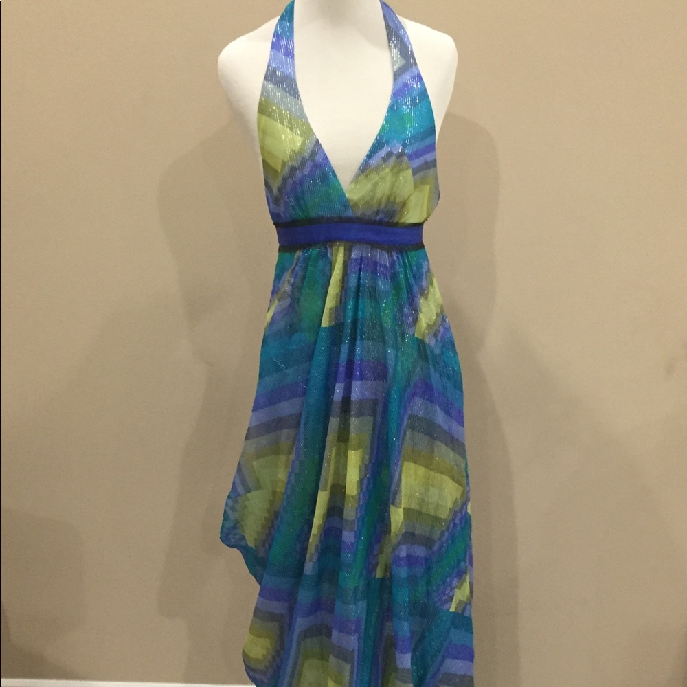 ❗️Price Drop❗️ BCBGMaxAzria Chiffon Metallic Gown