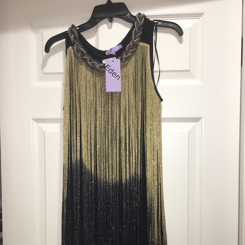 Beautiful New With Tags Fringe Dress