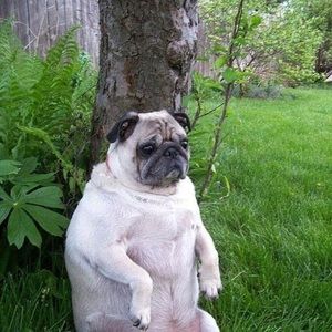 Meet your Posher, Brooke