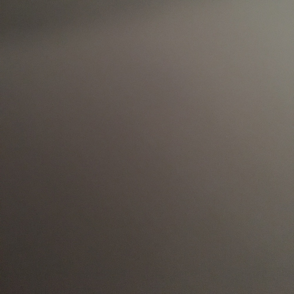 Meet your Posher, Shayna