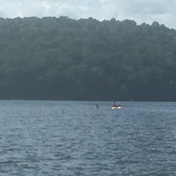 Meet your Posher, Logan - Picture 1 of 1