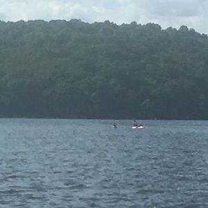 Meet your Posher, Logan