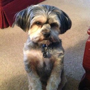 Meet your Posher, Jan