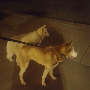 Meet your Posher, Patricia