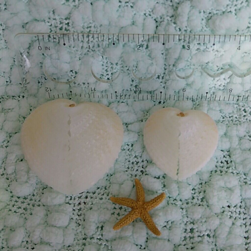 Sea Shells - heart shape