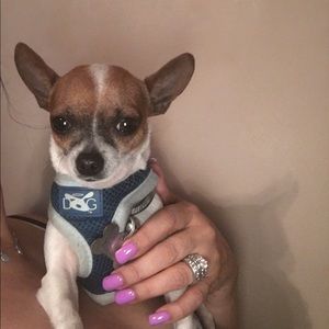 Meet your Posher, Araceli