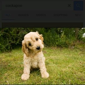 Meet your Posher, Jenny