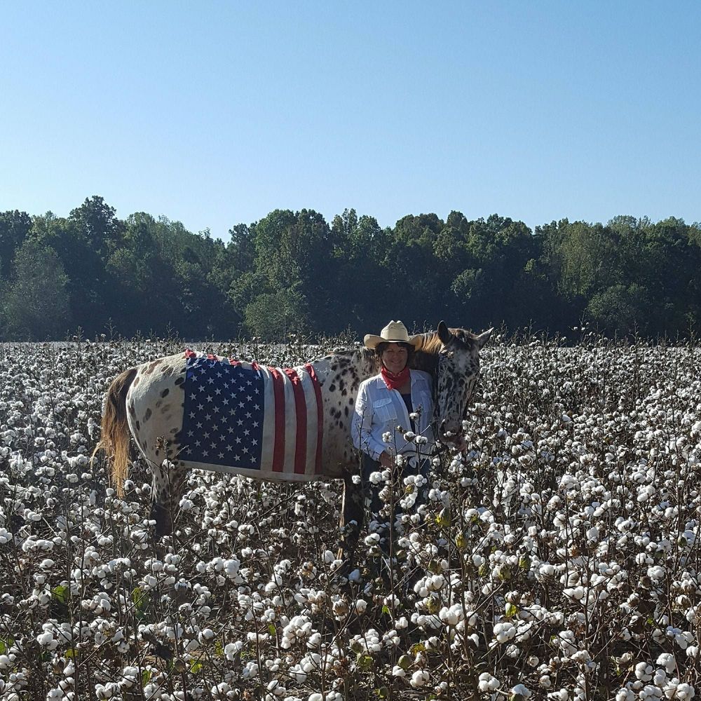 Meet your Posher, Perian