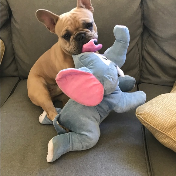 Meet your Posher, Amanda - Picture 1 of 1