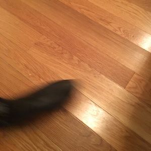 Meet your Posher, Carly