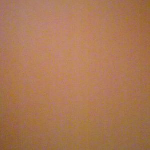 Meet your Posher, Hamse