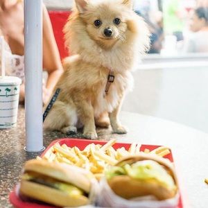 Meet your Posher, Halena