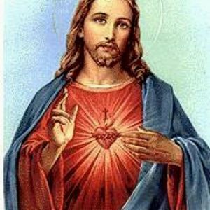 Meet your Posher, Shirley