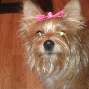 Meet your Posher, Jackie