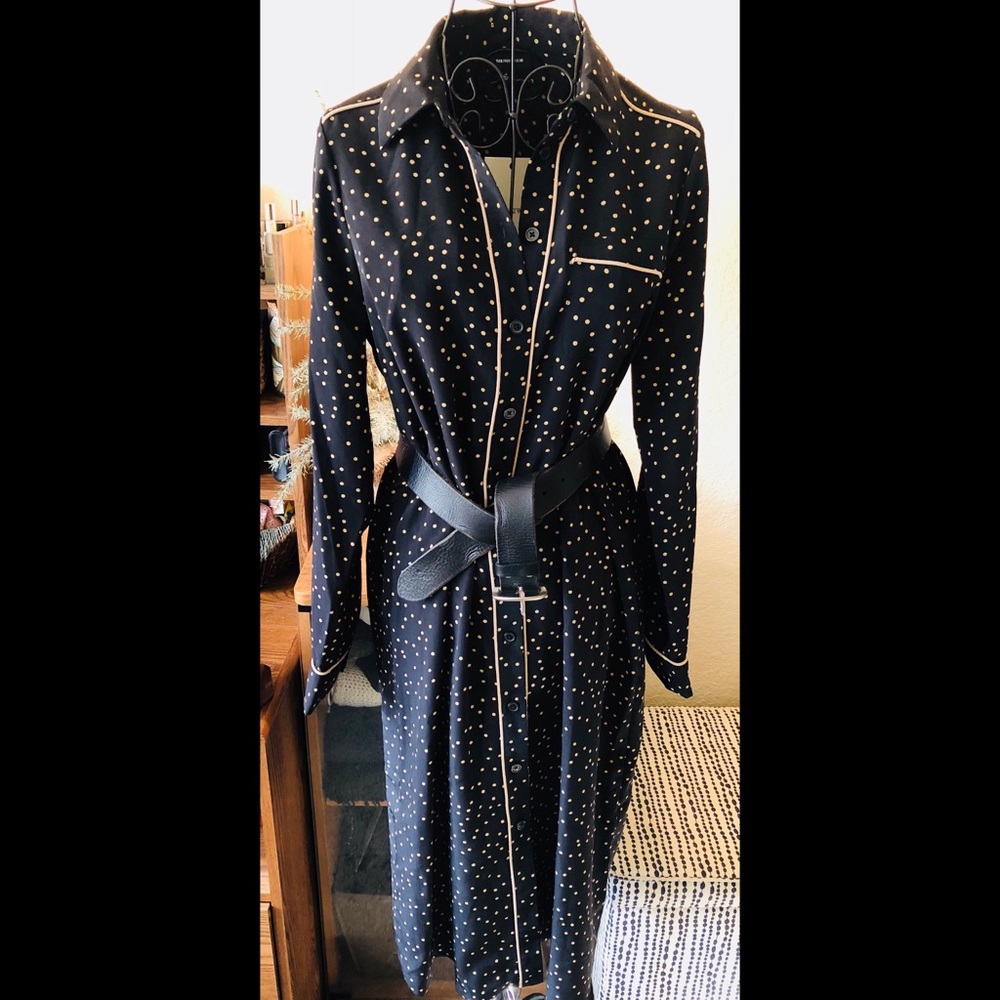 Polka Dot Shirt Dress