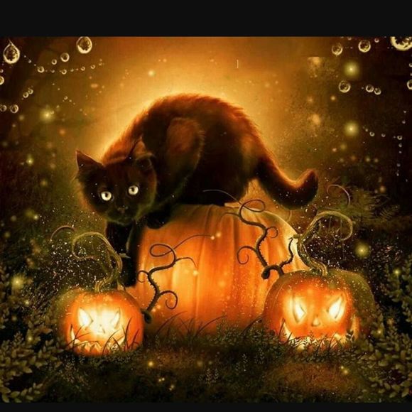 Meet your Posher, Vikki - Picture 1 of 1